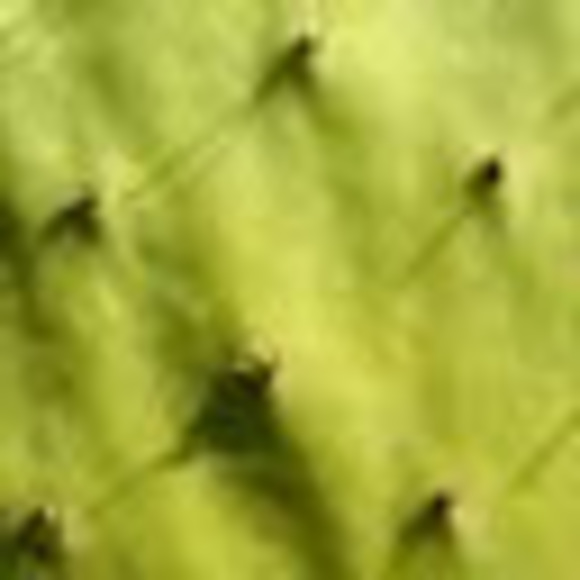 Meet your Posher, Logan - Picture 1 of 1